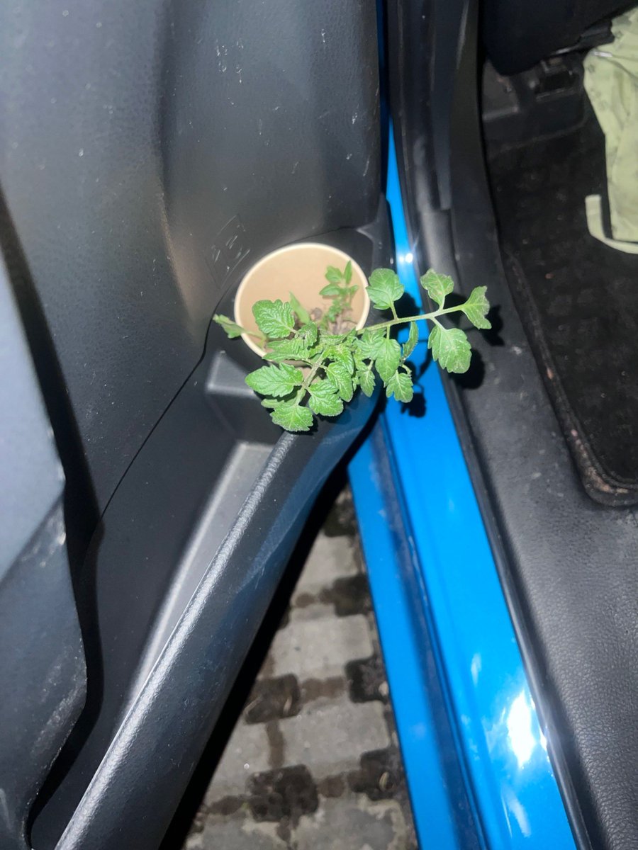 sandra  patricia tweet media