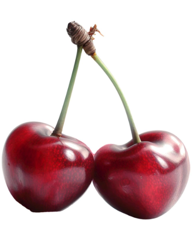 Imano_Craft's tweet photo. Cherry Pair on Stanley/Stella Nora Women's Organic Hoodie
Juicy twin cherries, glossy red perfection. Sexy, sweet & bold vibe – great for summer tees, flirty gifts or minimalist streetwear. Soft premium fabric, unisex fit.
Tags: cherry, cherries, cherrypair, glossyred, redfruit, fruitart, naturewear, summerstyle, boldred, cutefruit, graphiccherry, botanics, playfuldesign, duomotif, pairtheme, fruityfashion, wearablear