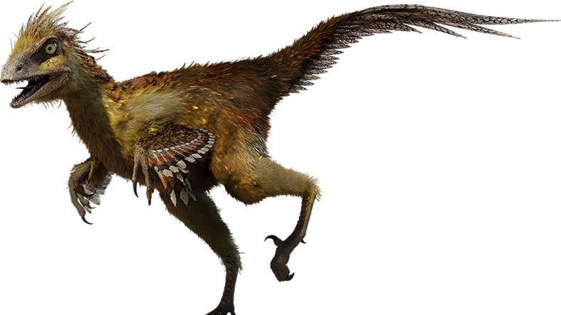 Koray Pehlivanoğlu tweet media