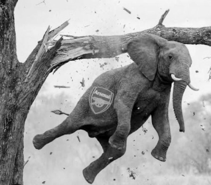 تاريخ رياضي tweet media