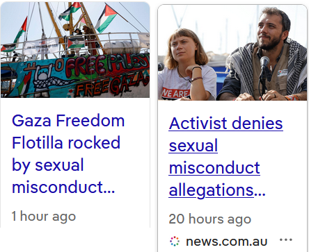 Zo ziet een psychische aandoening eruit. Links is niet meer te helpen. In Gaza zouden ze wel ergere dingen met haar doen, dus dit valt nog mee. Waarom zit ze niet op de #Flotilla ? Te weinig aandacht daar? #wieisdemol #SexualMisconduct #Norway meat hooks