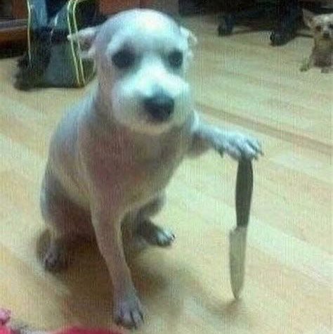 Cla✨* ꫂ ၴႅၴ | sevEN tweet media