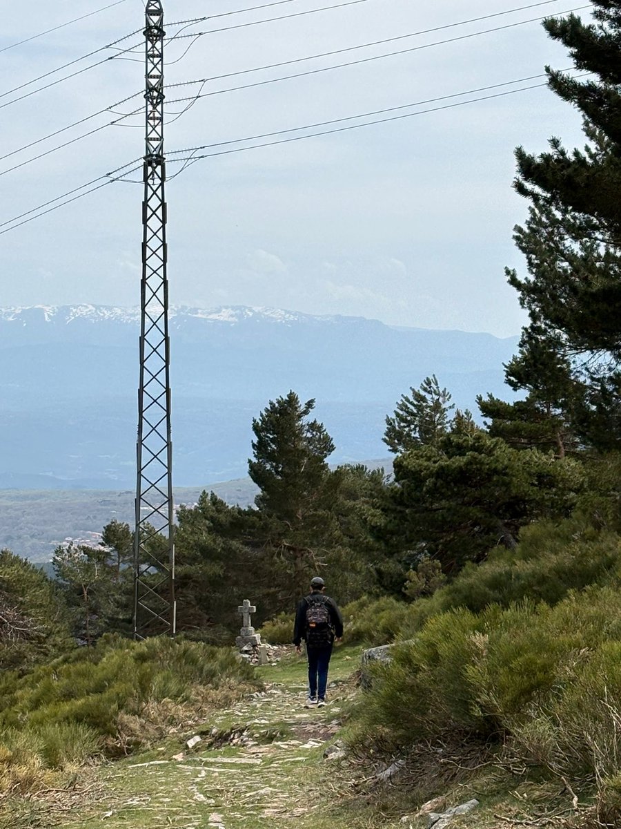 elrubiodelosburreros tweet media