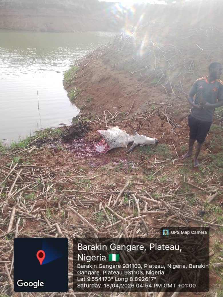 Zagazola tweet media