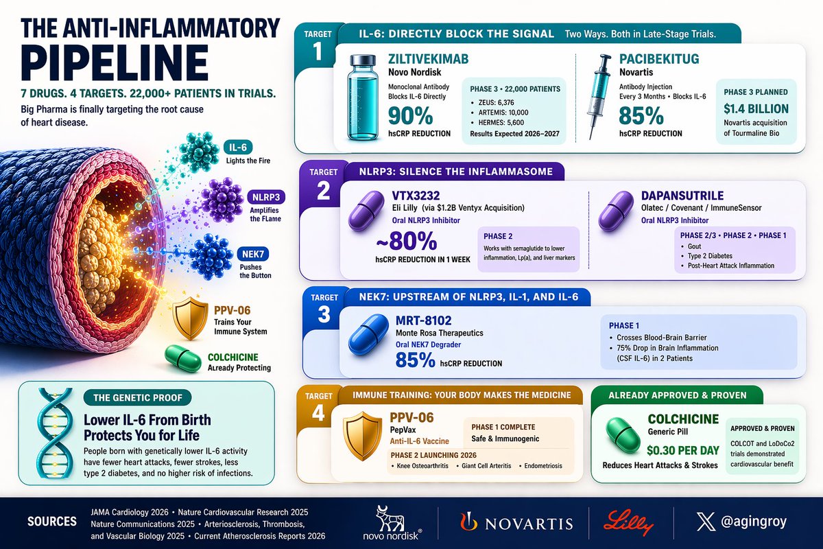 Your doctor measures cholesterol. They don't measure the molecule that drives most of the remaining risk for heart disease. 

It's called IL-6. It fuels chronic inflammation. For the first time, drugs targeting it are in massive trials. 7 programs. 4 biological targets. 22,000+
