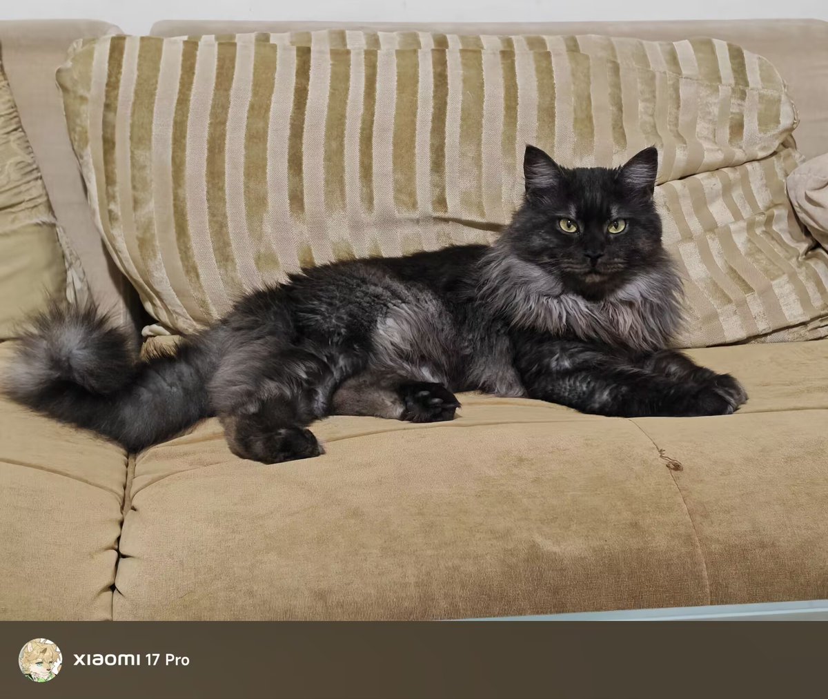 nbcstxl's tweet photo. https://t.co/PlxtkC3FTR