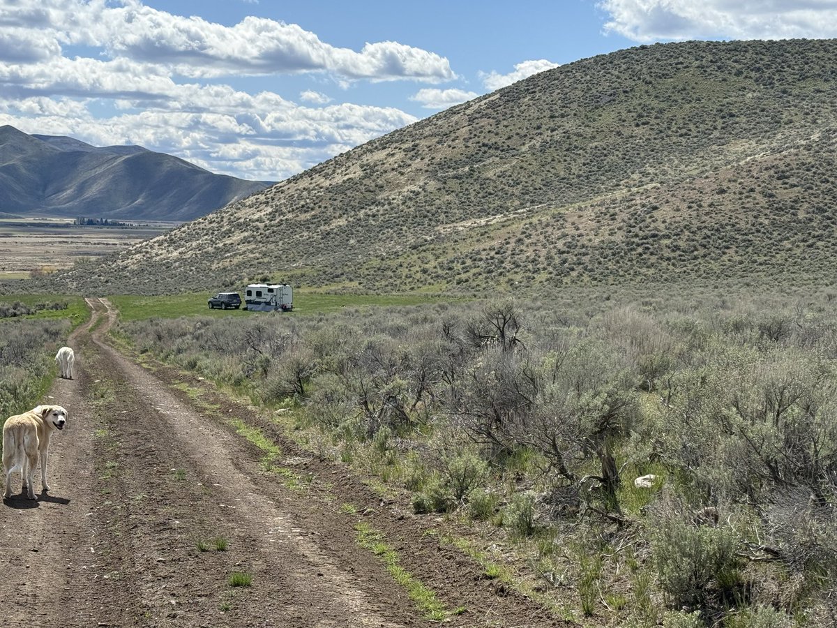 Kevin Smith tweet media