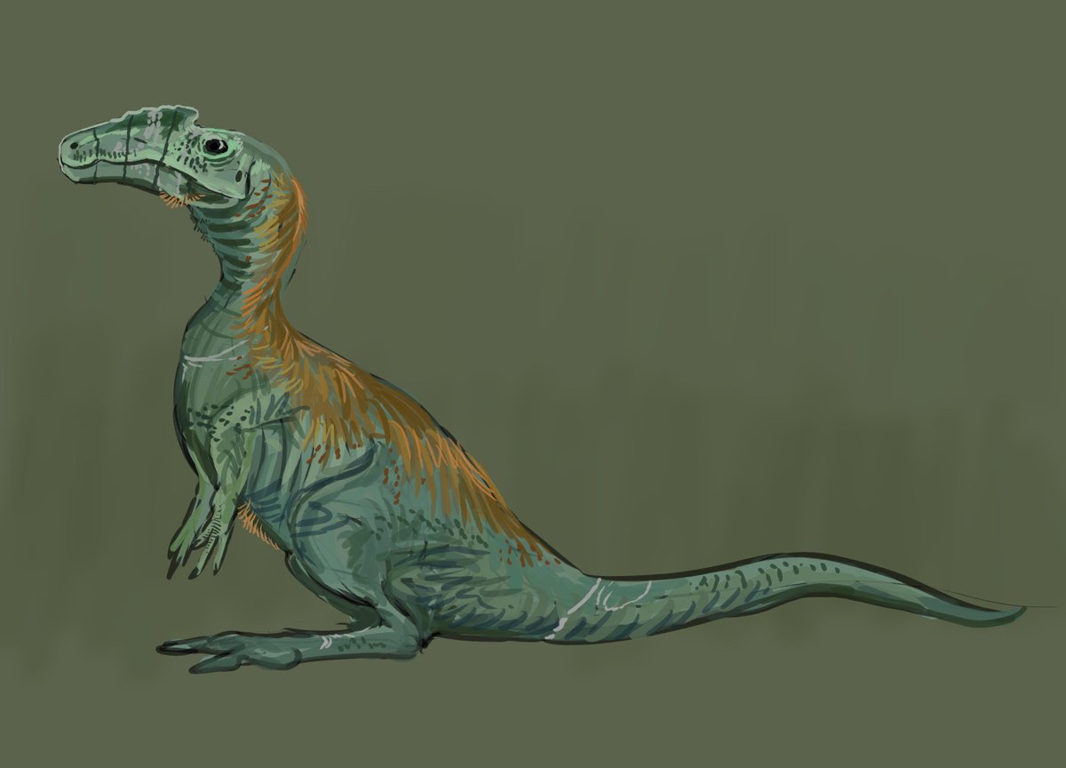 ArcheopterBill's tweet image. 04.19 165 ma

Gust a jurassic guy 
#paleoart #sketch #dinosaurs