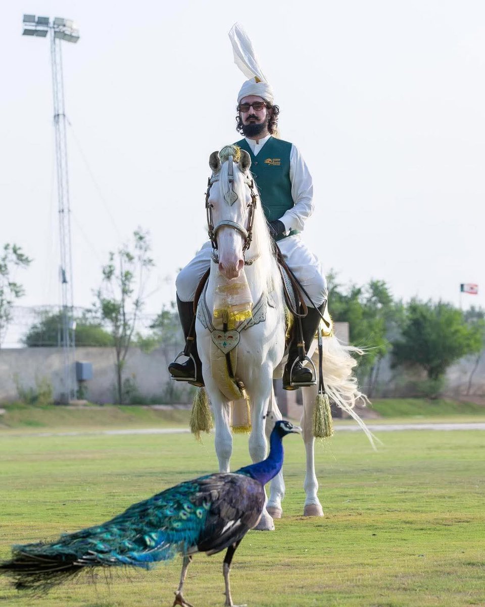 Under his leadership, Pakistani tent pegging won 3 Gold, 2 Silver, and 2 Bronze at international events.#SultanVicePresidentITPF
#SultanRisesAgain
#GreenFlagRisesAtITPF