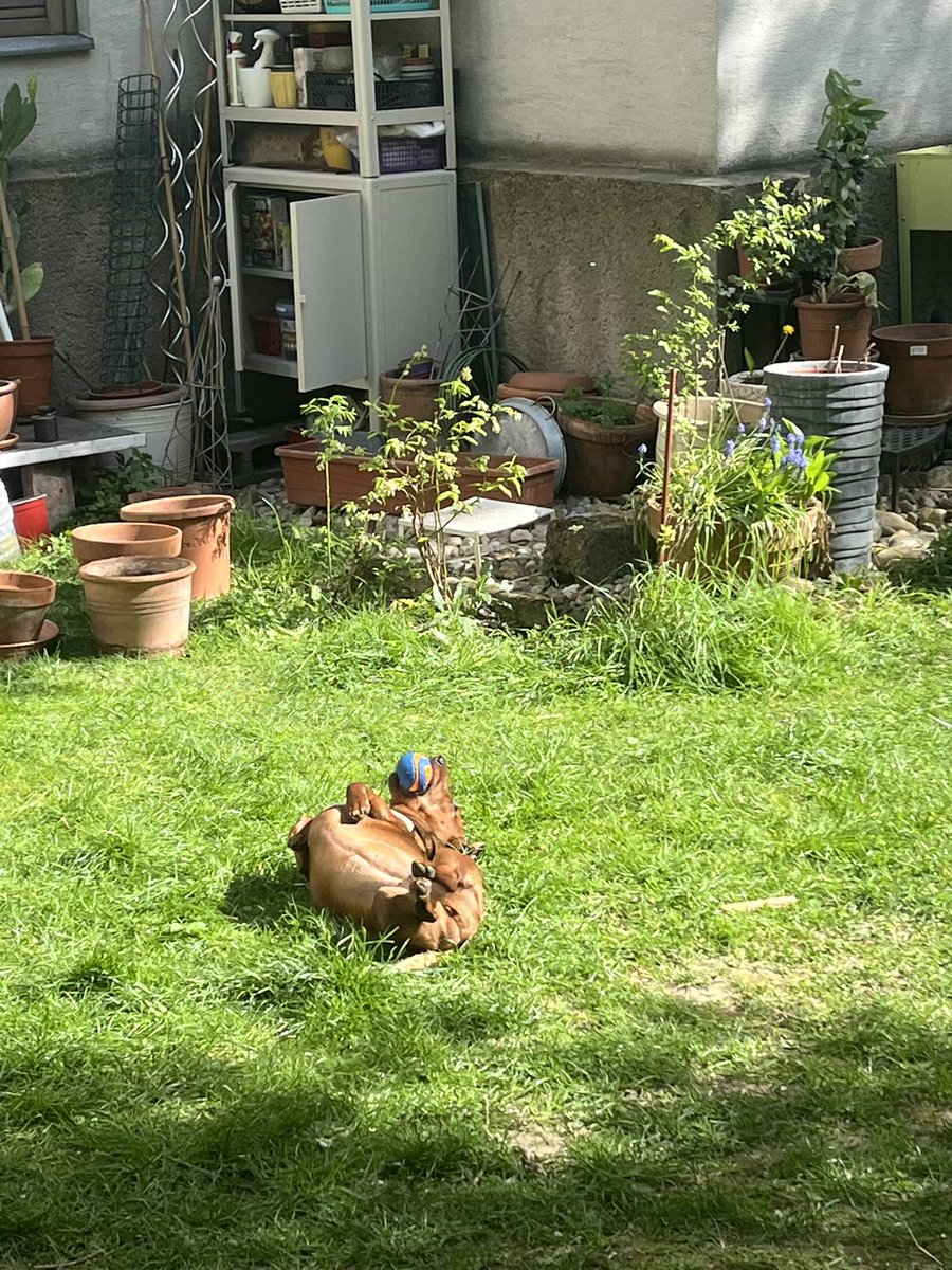 Martina Gaye & Ellie❤️ & Carla🖤🌈 tweet media