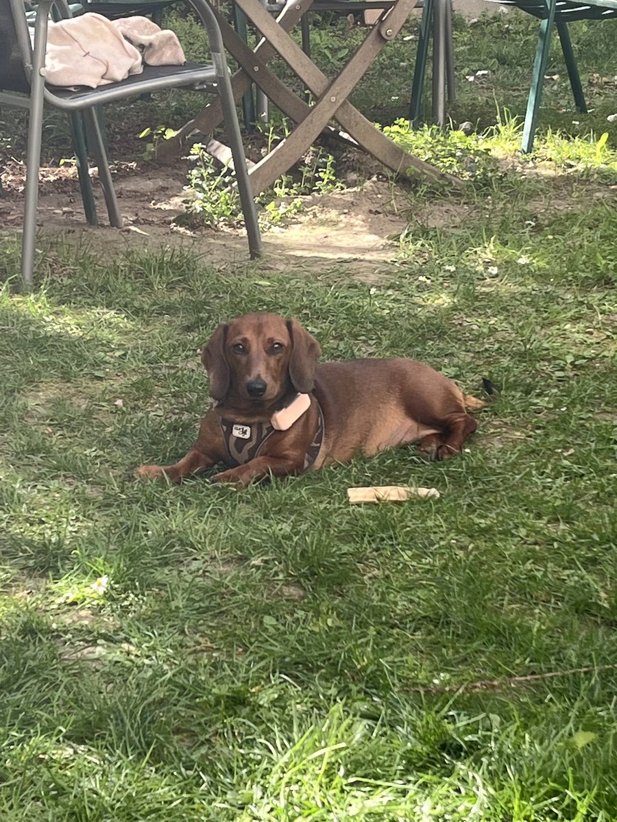 Martina Gaye & Ellie❤️ & Carla🖤🌈 tweet media