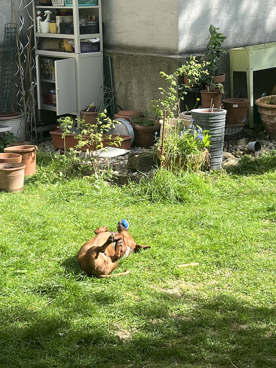 Martina Gaye & Ellie❤️ & Carla🖤🌈 tweet media