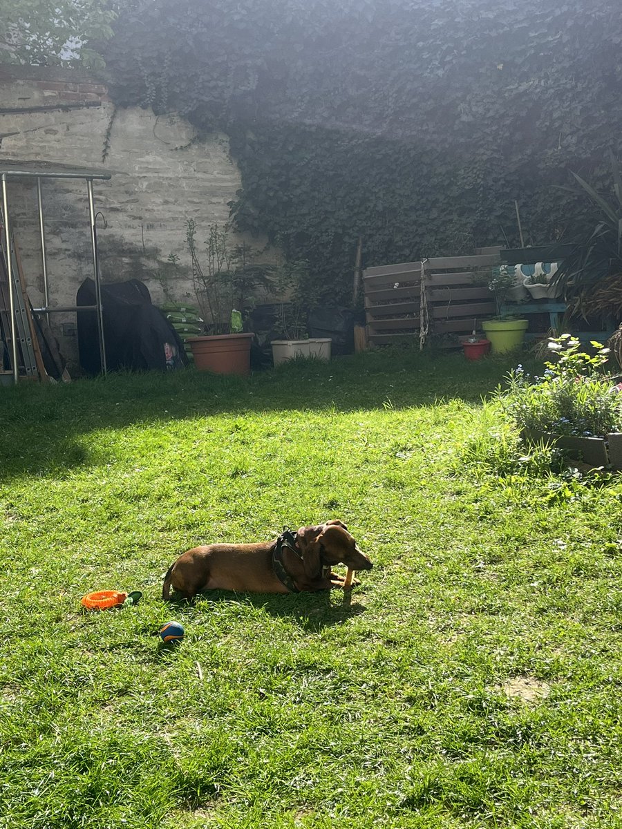 Martina Gaye & Ellie❤️ & Carla🖤🌈 tweet media