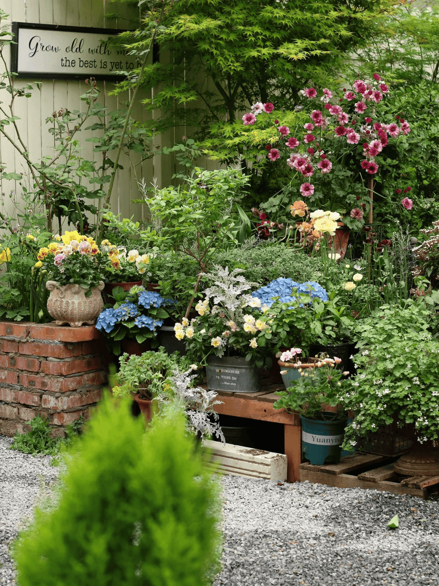 FRANCISCO LINAN tweet media