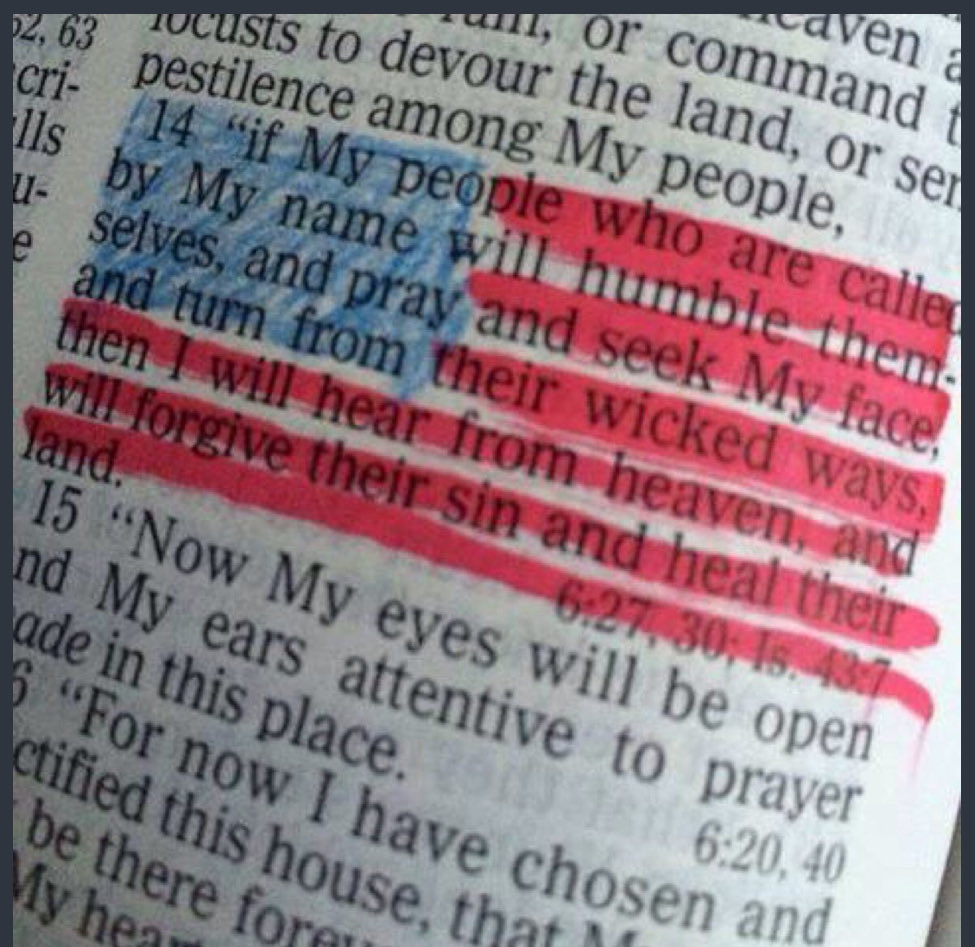 paradise_dweller tweet media