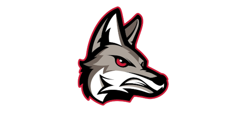 TheSongDog11 tweet media