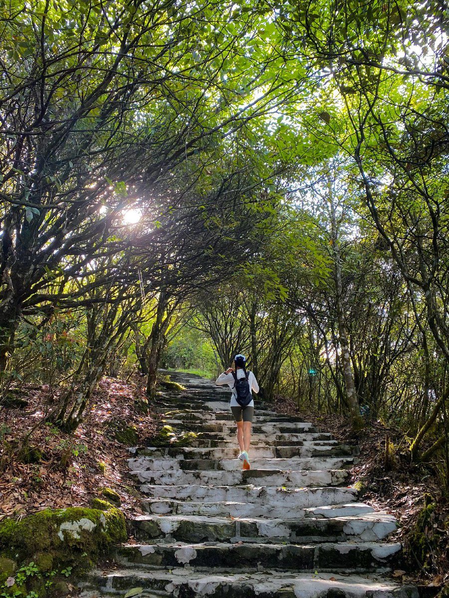 елена менакер tweet media