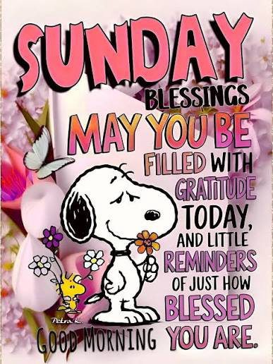 barbiesway's tweet image. "Take care of yourself - you never know when the world will need you." H the Elder
"When women take care of their health they become their own best friend." M Angelou
"We must be our own before we can be another's."
R W Emerson
#sundaythoughts #sundayfun #sundayvibes