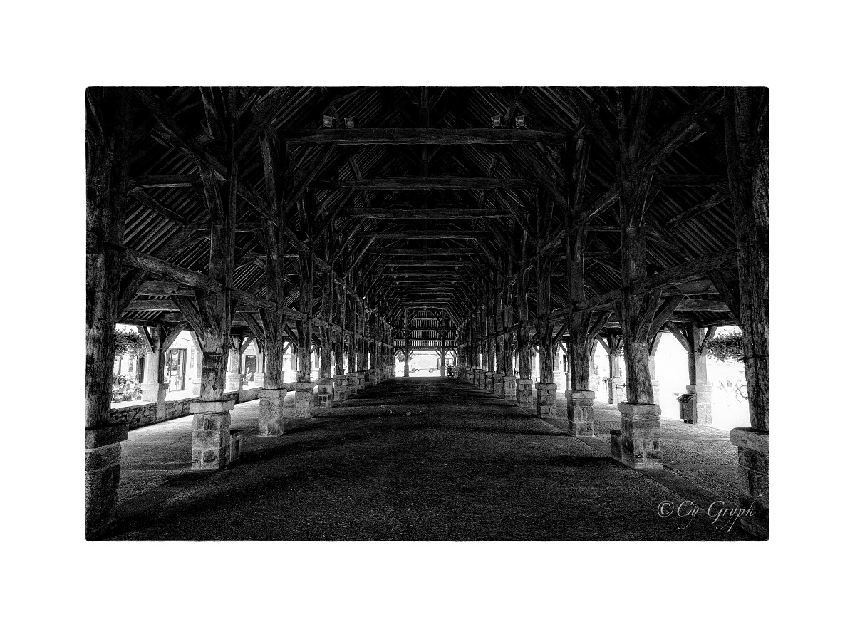 CGryph's tweet image. Bonsoir ! 😊

Journée encore fort occupée...
Je me suis changé les idées en faisant une petite étude en noir et blanc partir d'un vieux cliché
Les halles de #Questembert

#Bretagne #Morbihan #bnwphotography #Photographie