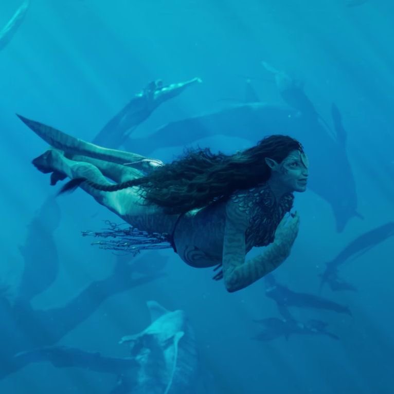 Ocei 🐚🐠 tweet media