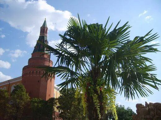 Уничтожитель пиццы tweet media