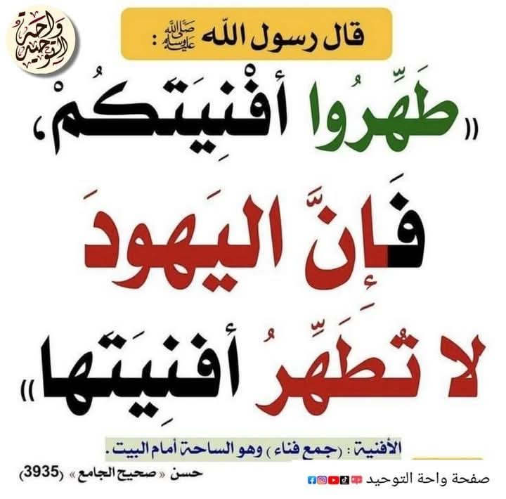 طويلب علم tweet media