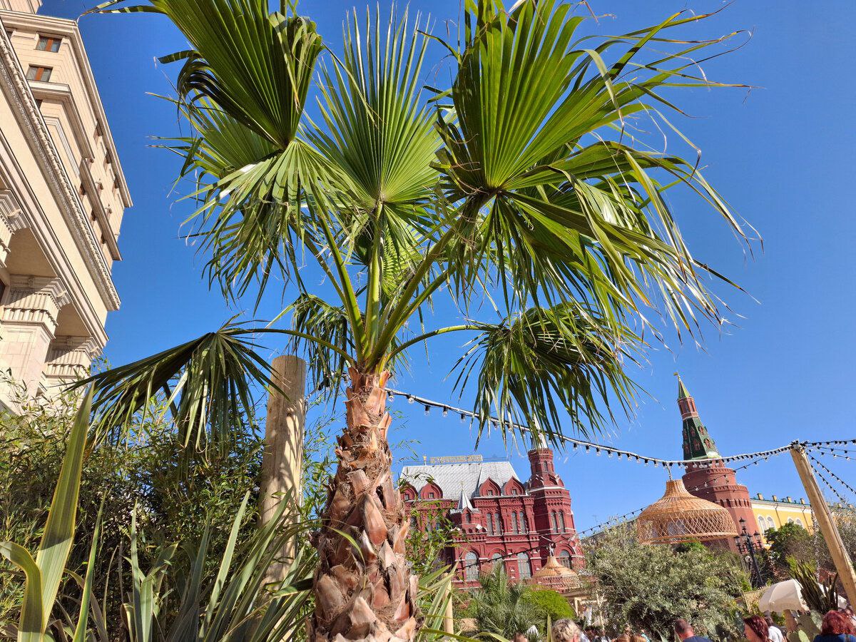 Уничтожитель пиццы tweet media