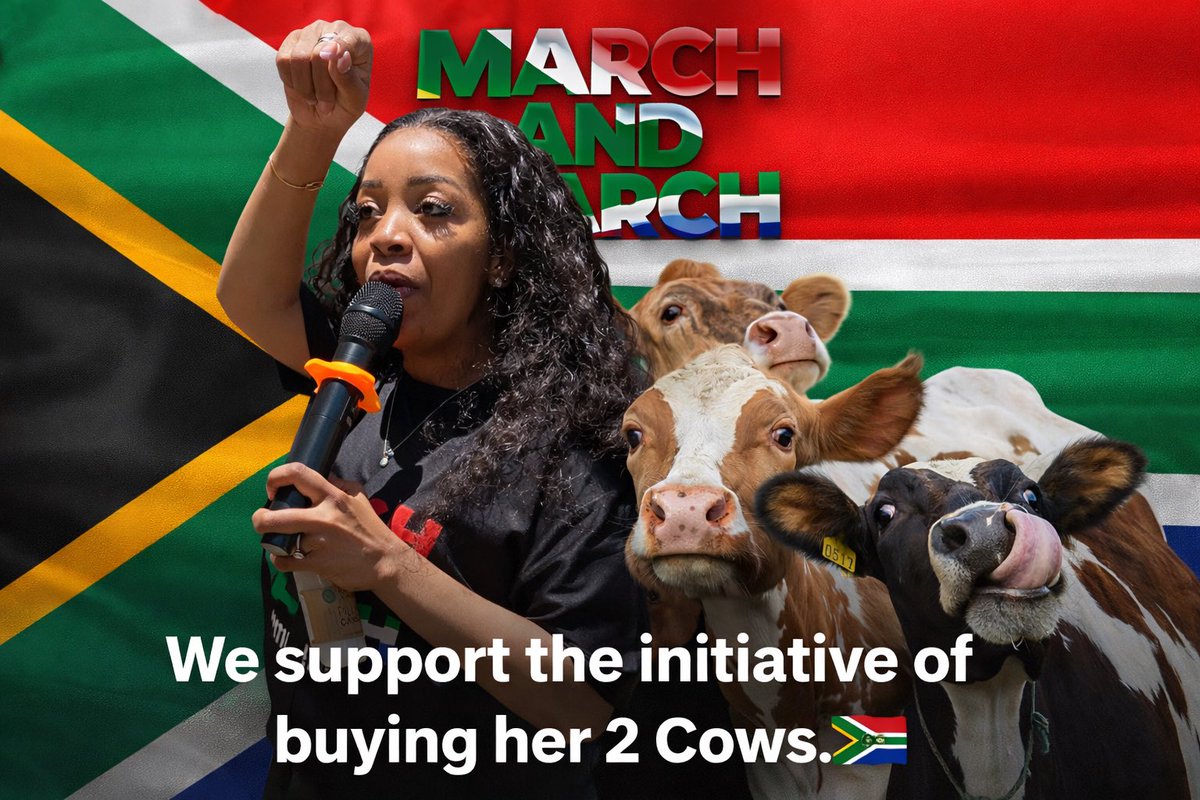 Born-in-SA🇿🇦 tweet media