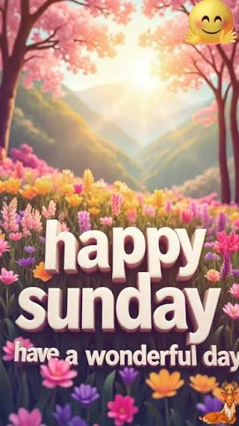 barbiesway's tweet image. "Take care of yourself - you never know when the world will need you." H the Elder
"When women take care of their health they become their own best friend." M Angelou
"We must be our own before we can be another's."
R W Emerson
#sundaythoughts #sundayfun #sundayvibes