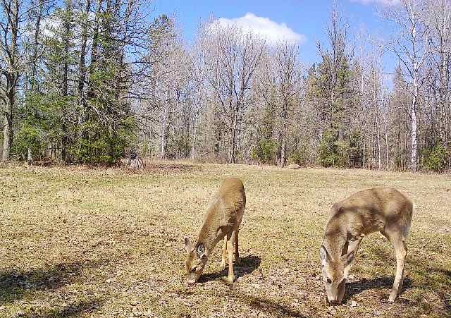 MasMattIsback tweet media