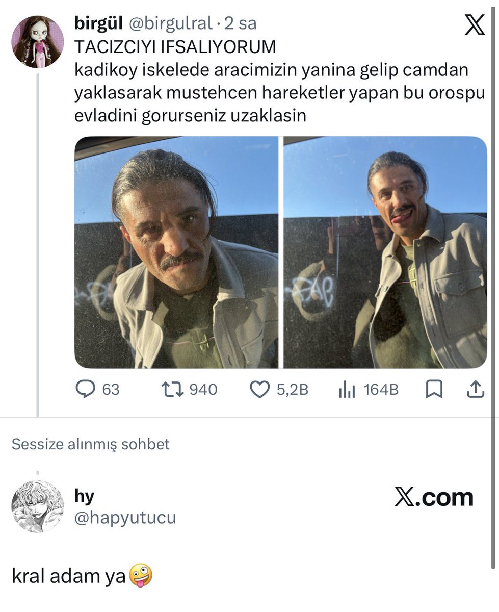 birgül tweet media
