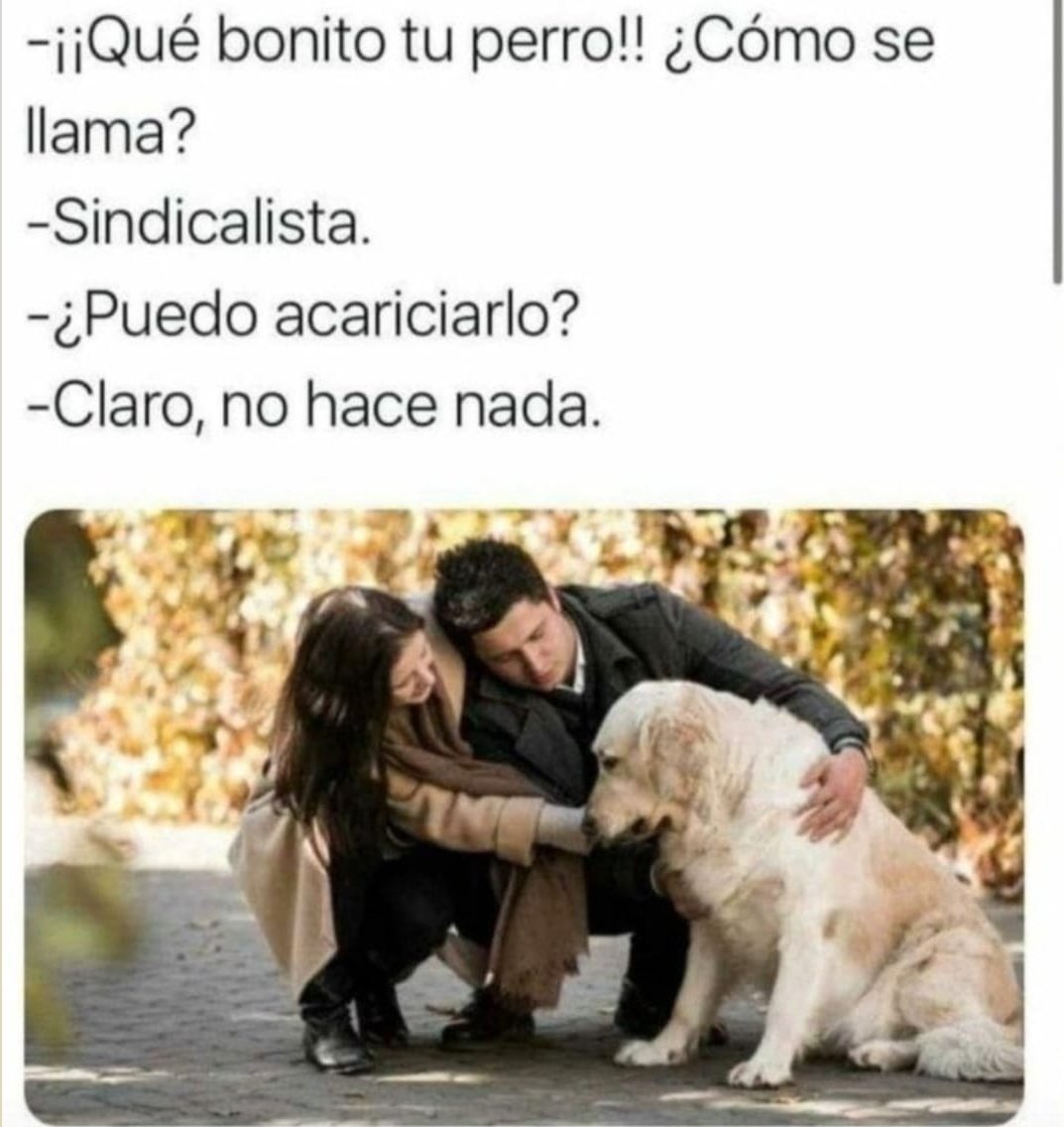 COLECTIVO TRAICIONADO POR SUS SINDICATOS!! tweet media