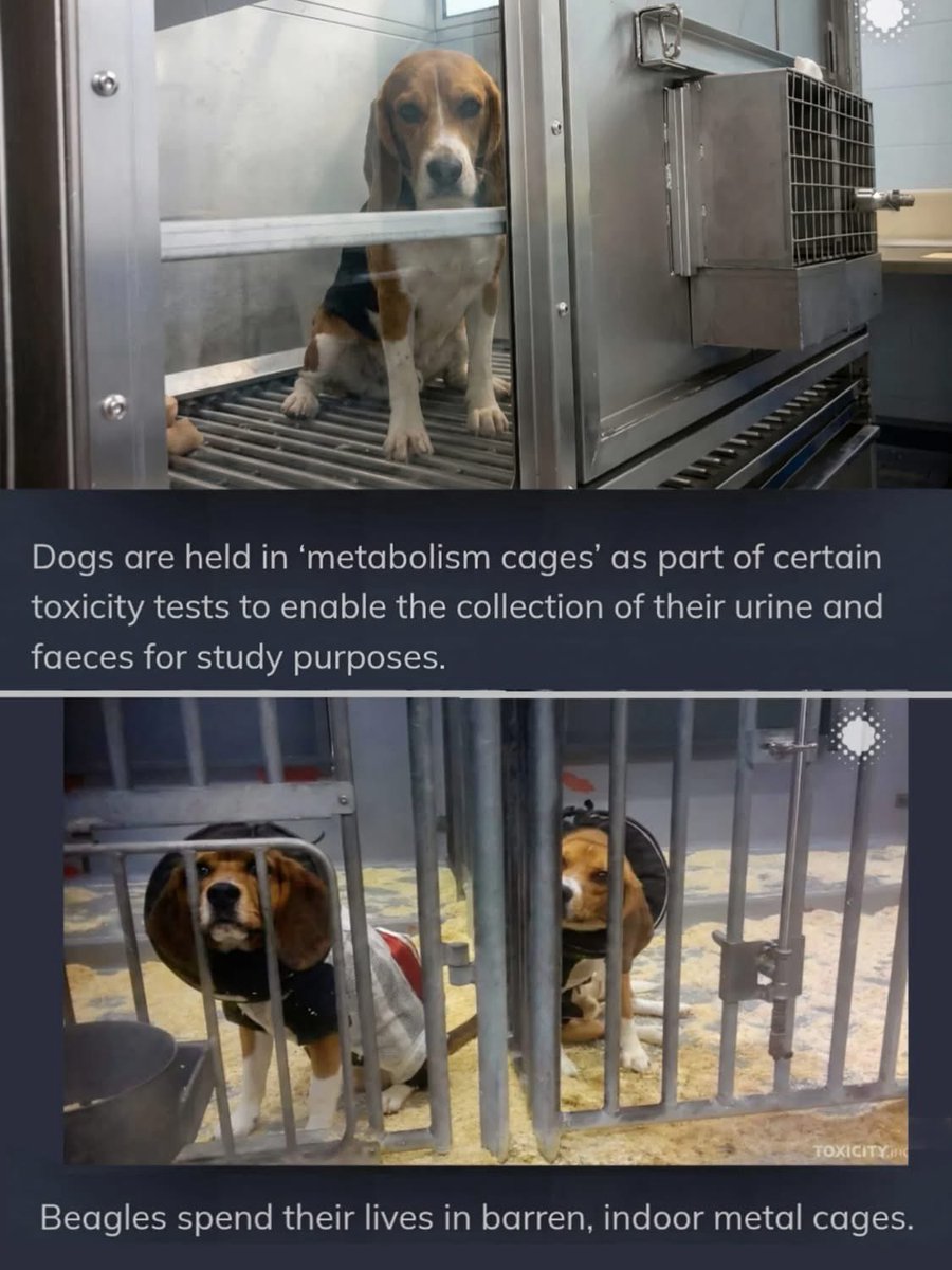 Karen Merrett tweet media