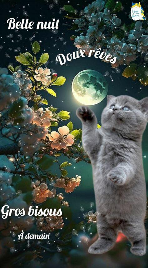 Batriaud Martine tweet media