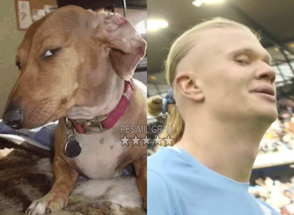 A olhadinha do Haaland kkkkkkkkkkkkkkkkkk