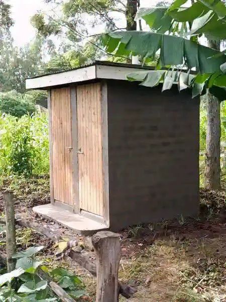 Roderick tweet media