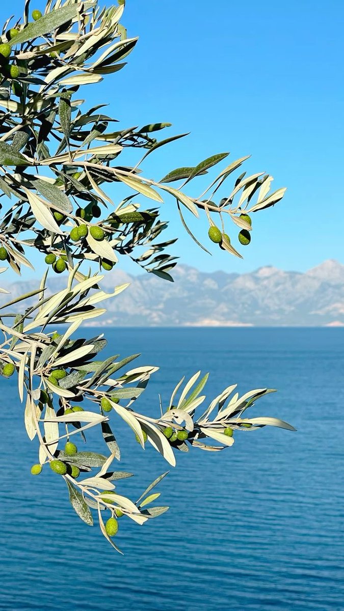 JulieParker144's tweet image. And I say also unto thee, That thou art Peter, and upon this rock I will build my church; and the gates of hell shall not prevail against it. Matthew 16:18  #KJV