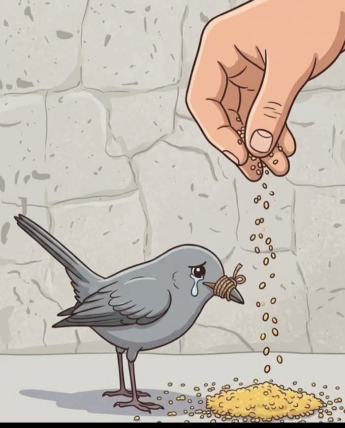 أمثال عالمية tweet media