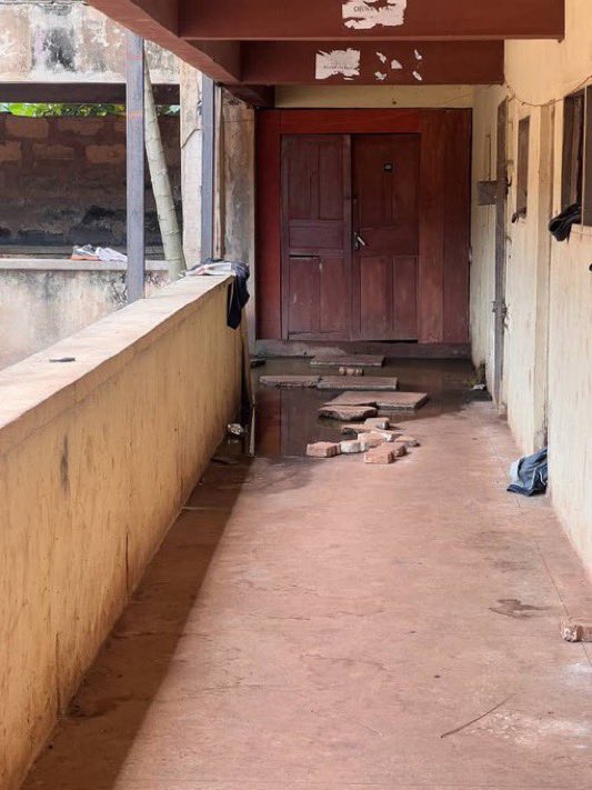 unnstudentz tweet media