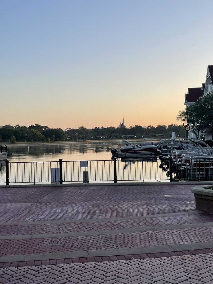 CTDisneyFans tweet media