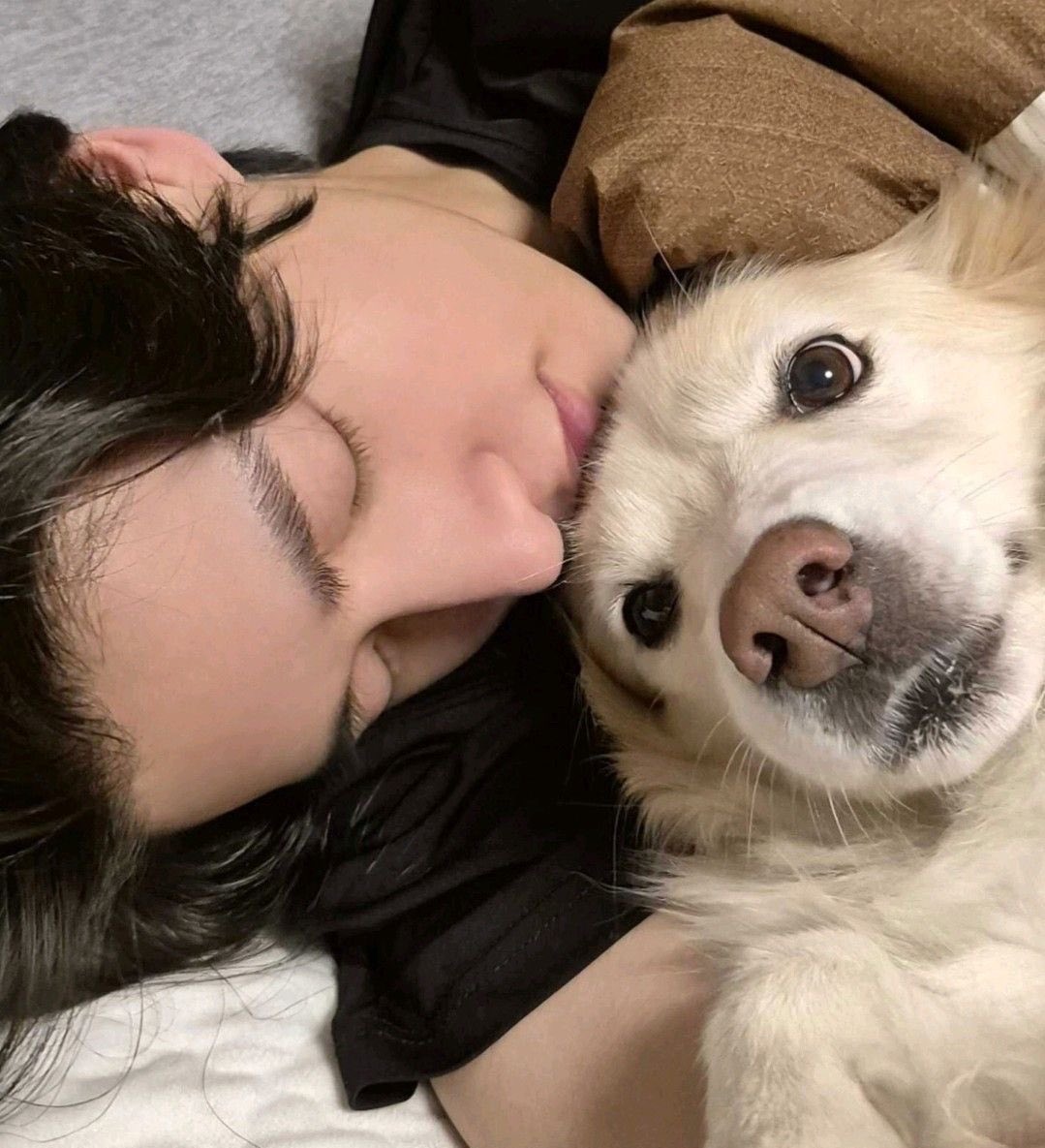 วาเนสส้า tweet media