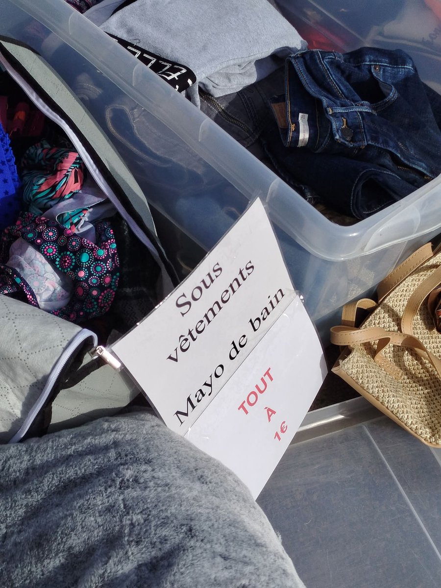 emily dumortier #TAEM #TEAMLecornu tweet media