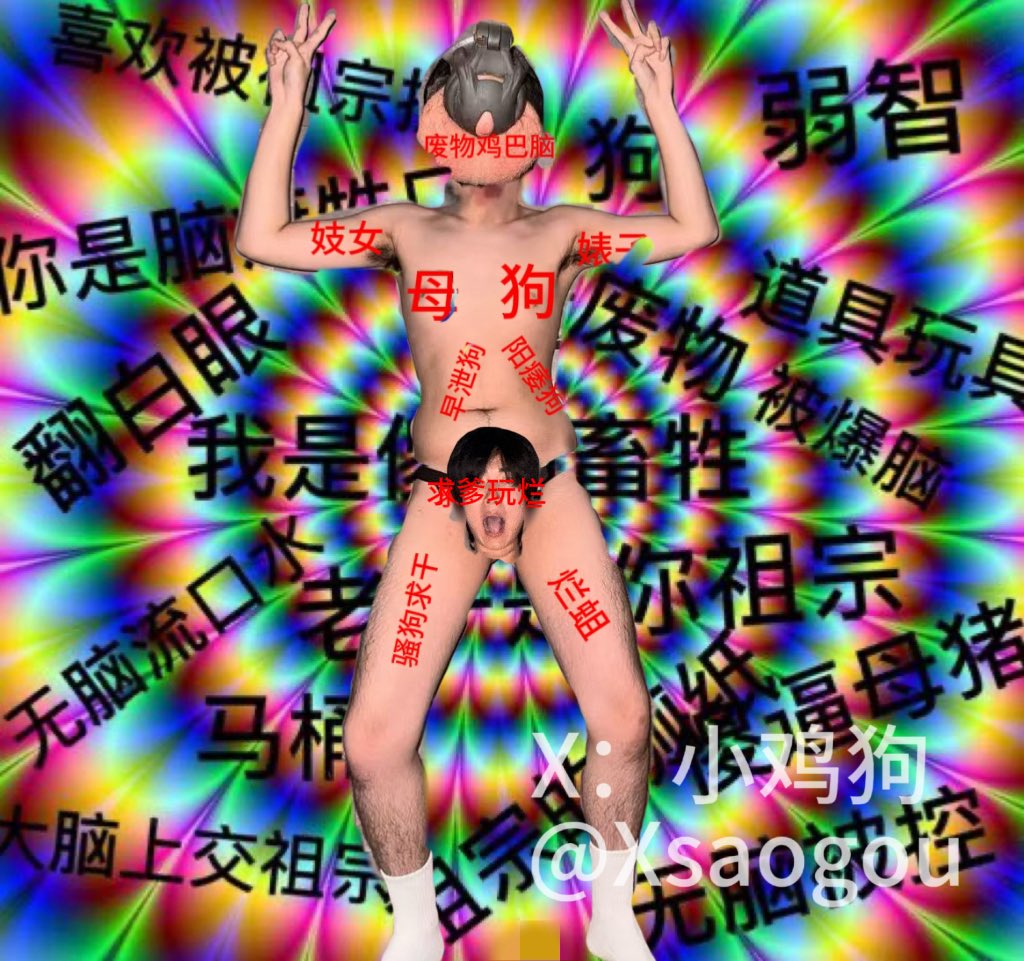 小鸡狗（互推 tweet media