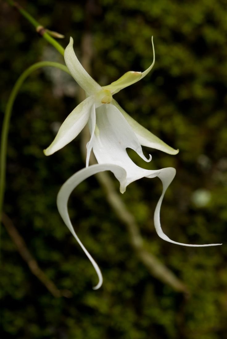 mari palmer tweet media