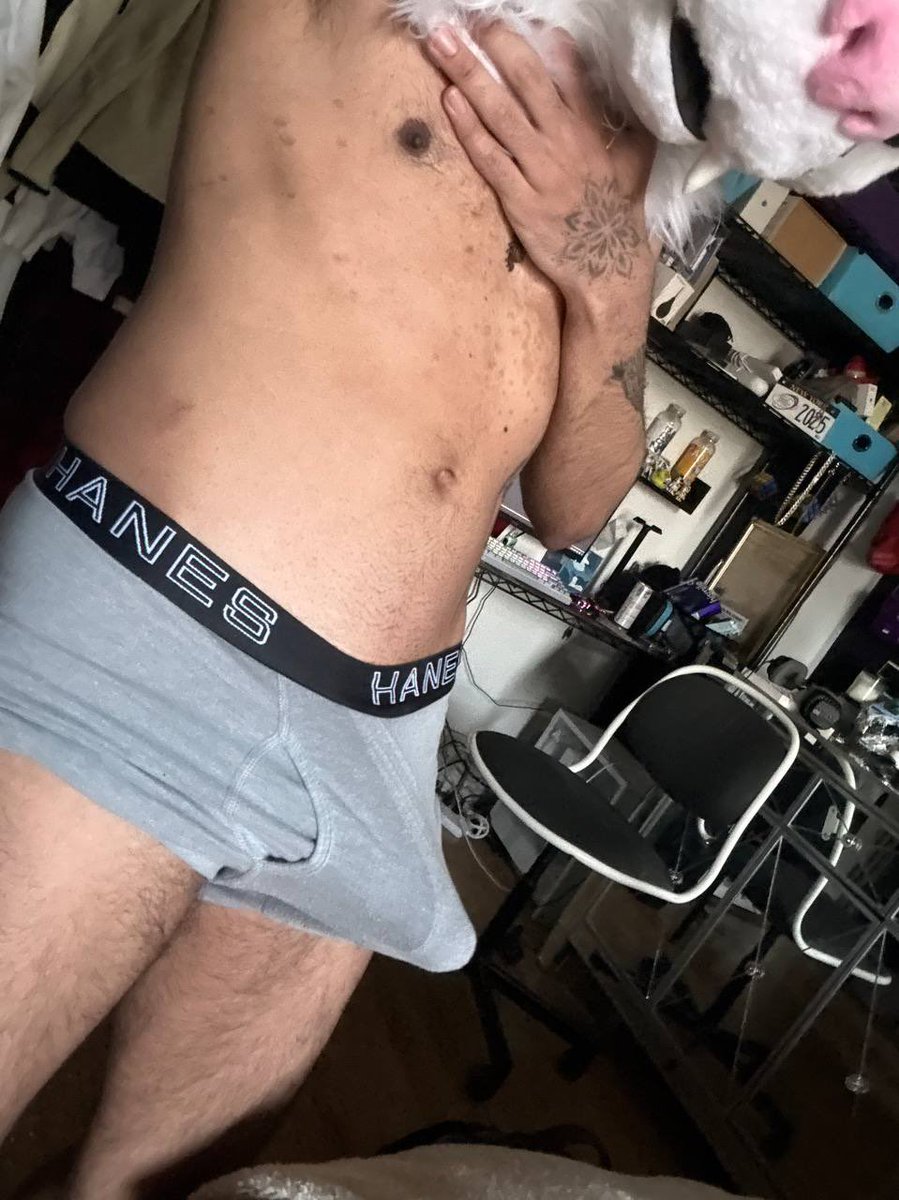 🔞 section 8 dick tweet media