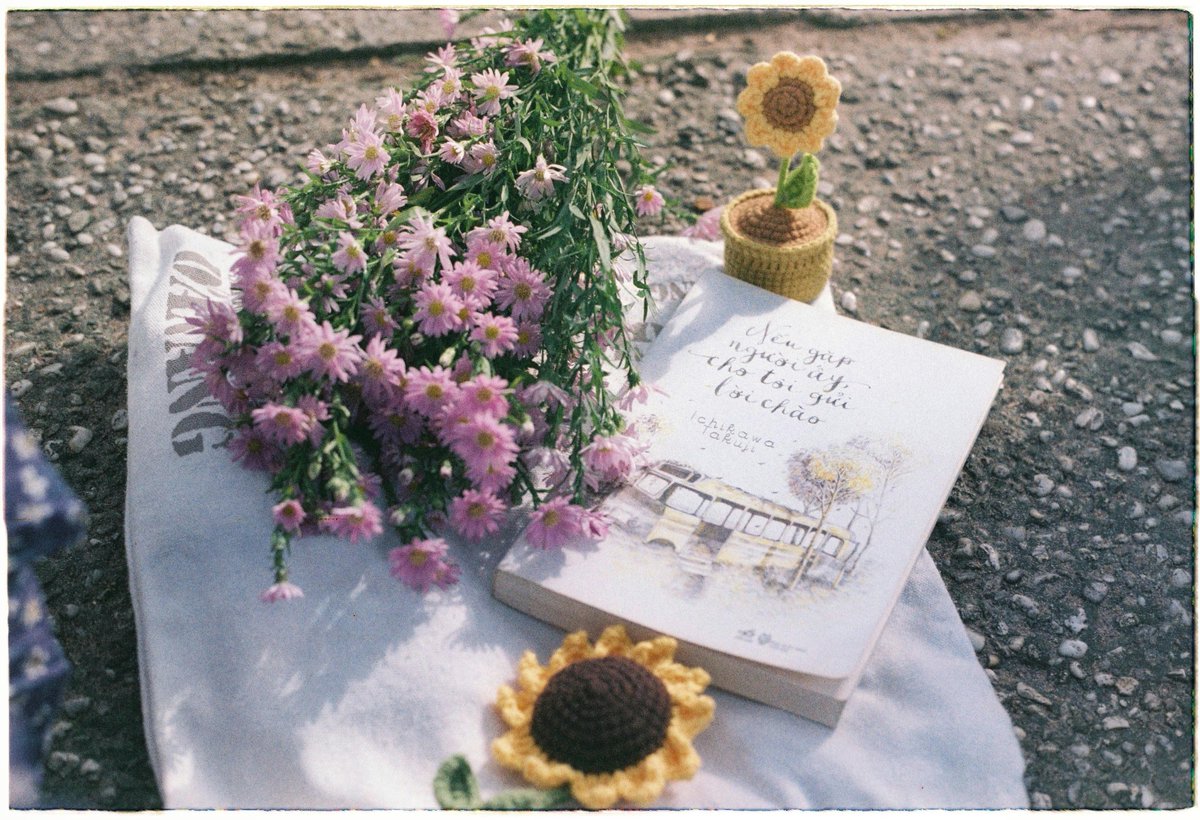 OdiaGodstime1's tweet image. Cozy Sunday morning vibes!  Flipping through a book by the window, with sunlight u0026 a warm drink by my side. Perfect way to slow down. #HomeComfort #WeekendVibes