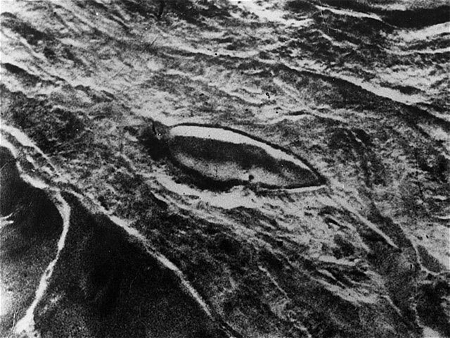 Arab-Military tweet media