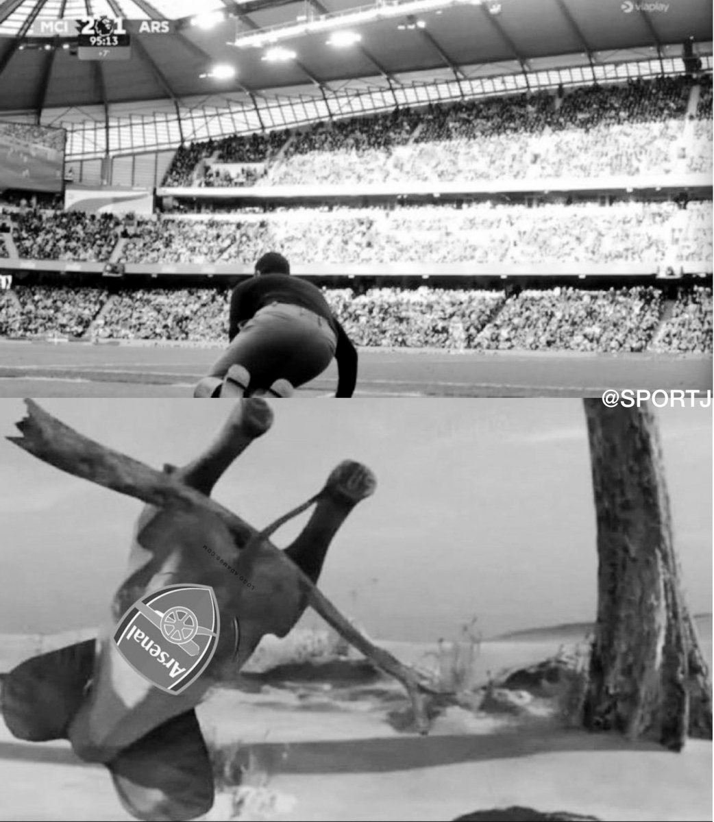 تاريخ رياضي tweet media