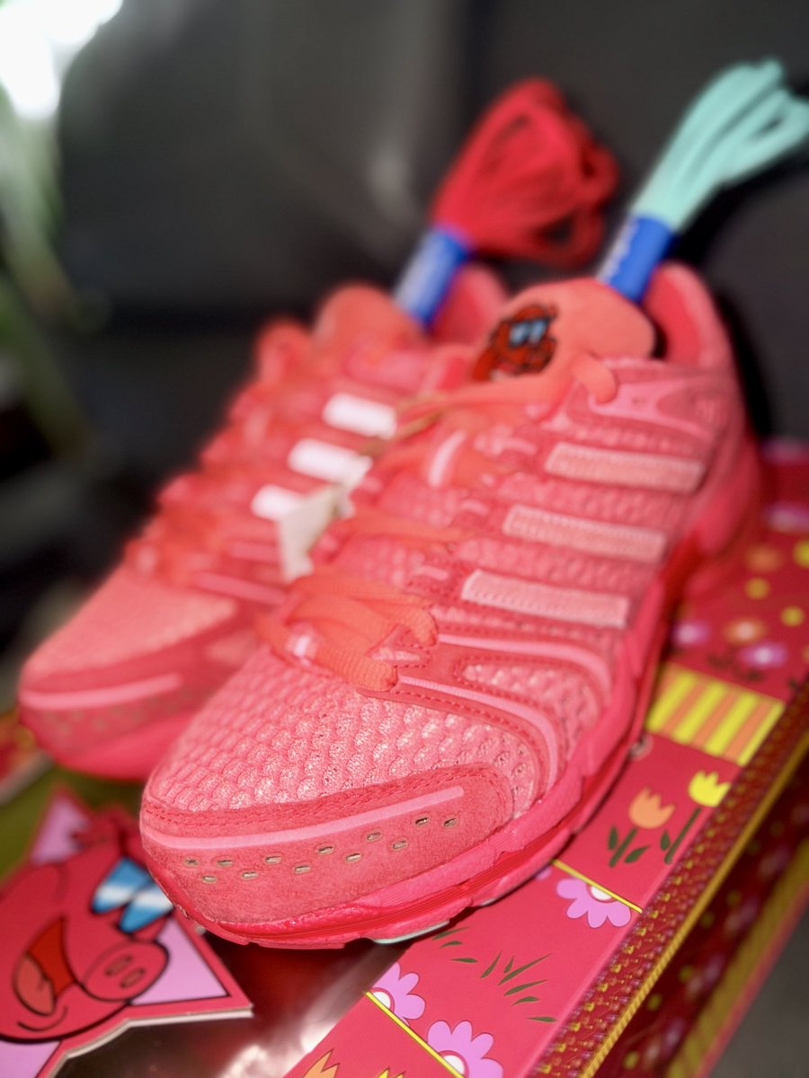 GROCABX's tweet image. @KariDaniels 🗣️#NewPackageAlert🚨
#AdidasAdistarControl5 #Unheardof
#UnheardofPorkChopPiggyRunner20SteveO