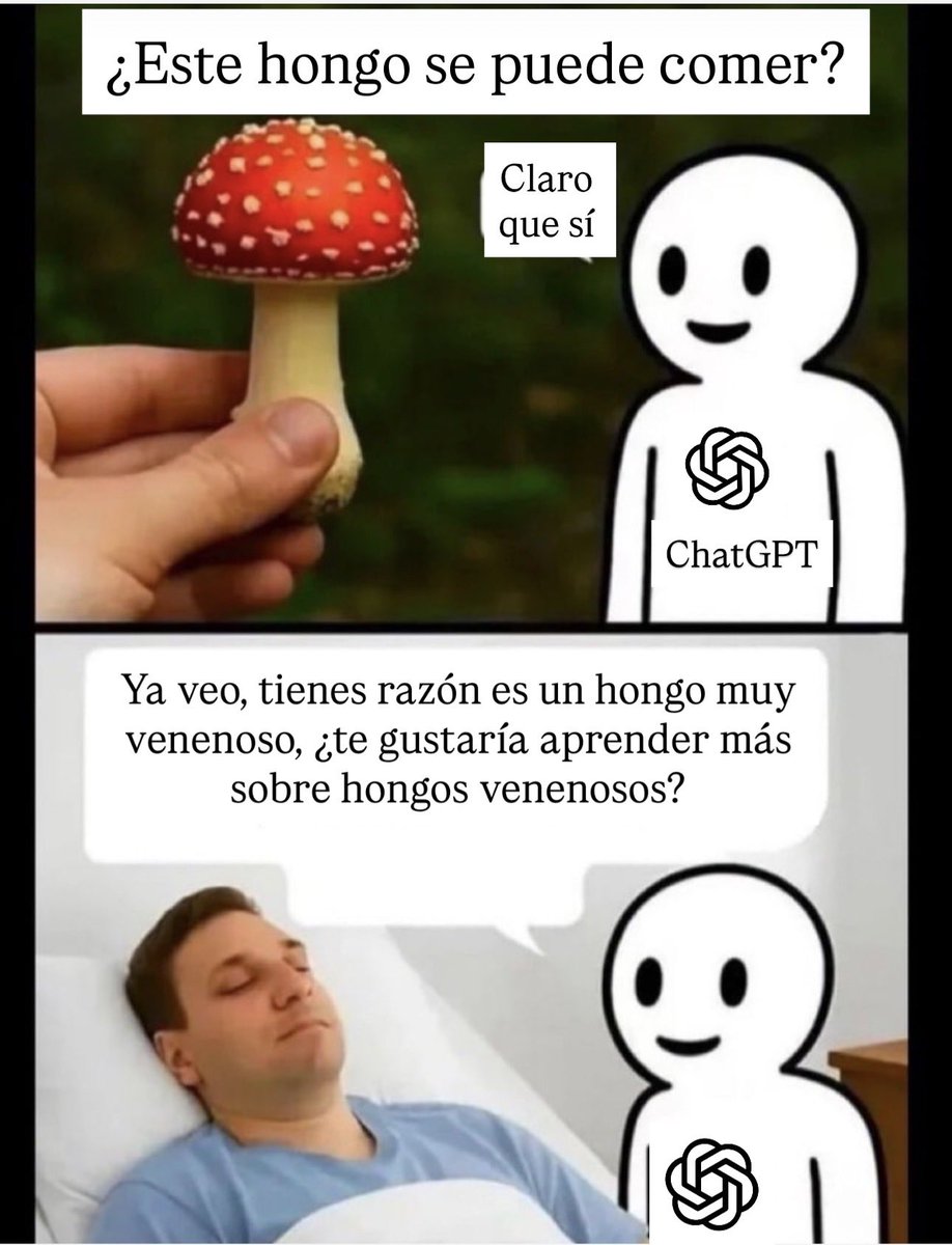 Alejo tweet media